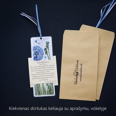 Tapytas Knygų Skirtukas "Švyturys" 4