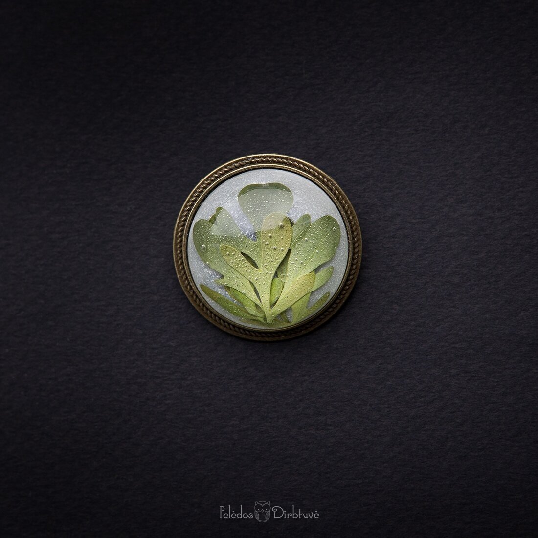Apvali sagė su tikrais augalais "Rūta" (37mm)