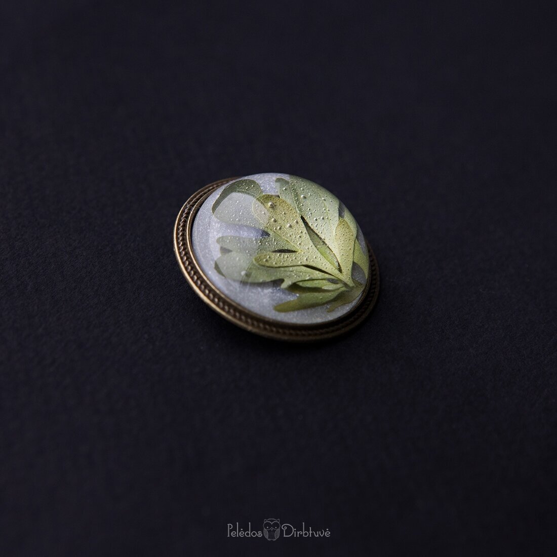 Apvali sagė su tikrais augalais "Rūta" (37mm) 5 Apvali sagė su tikrais augalais "Rūta" (37mm) 5