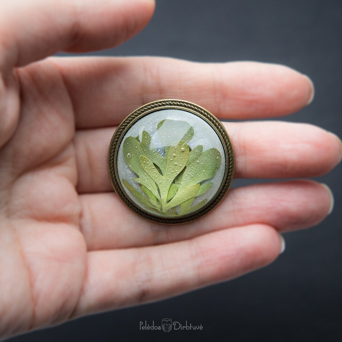 Apvali sagė su tikrais augalais "Rūta" (37mm) 1