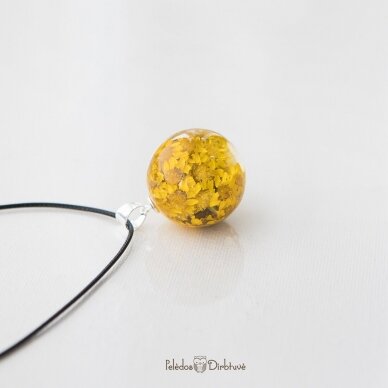 Geltonas pakabukas-burbulas "Sanfordii" (25mm) 5