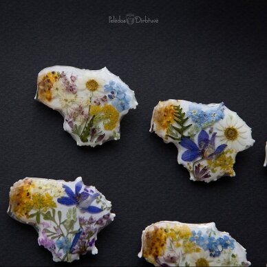 Sagė su tikrais augalais "Žydinti Lietuva" (Variantai pasirinkimui) 1