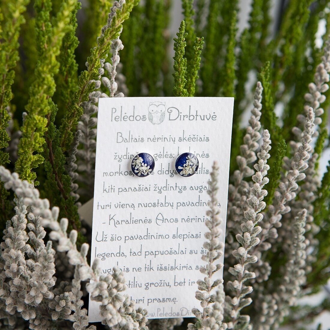 Sidabriniai auskarai "Blue Queen" (8mm) 5 Sidabriniai auskarai "Blue Queen" (8mm) 5