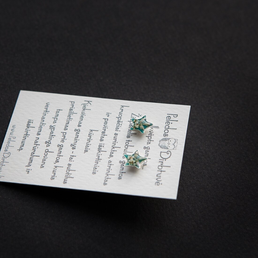 Sidabriniai auskarai-žvaigždutės "Tiffany Queen" 3 Sidabriniai auskarai-žvaigždutės "Tiffany Queen" 3