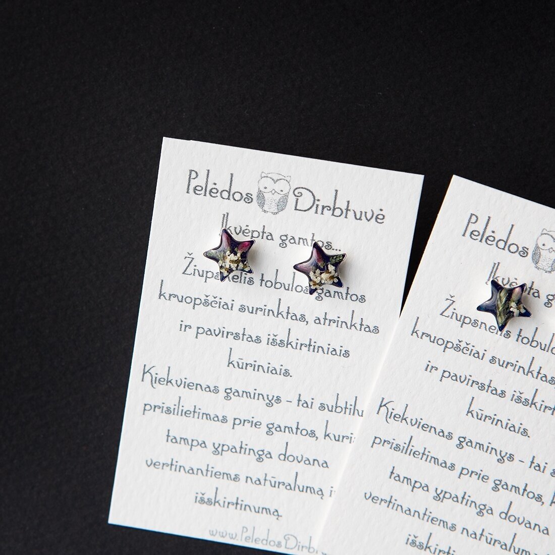 Sidabriniai auskarai-žvaigždutės "Žiupsnelis Gamtos" (Variantai pasirinkimui) 3 Sidabriniai auskarai-žvaigždutės "Žiupsnelis Gamtos" (Variantai pasirinkimui) 3
