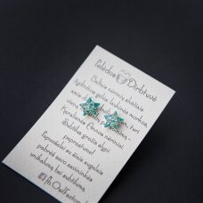 Sidabriniai auskarai-žvaigždutės "Tiffany Queen"
