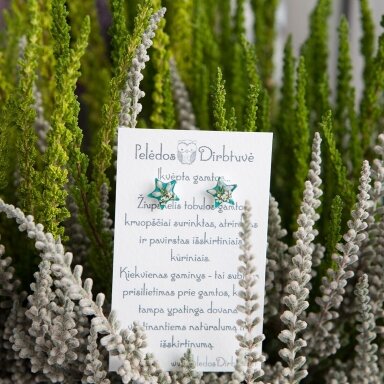 Sidabriniai auskarai-žvaigždutės "Tiffany Queen"