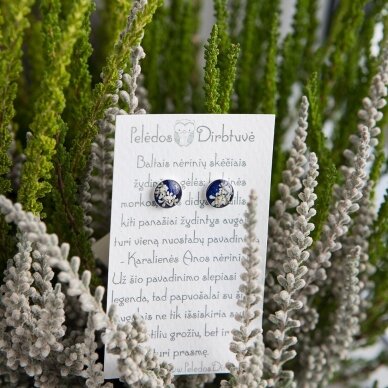 Sidabriniai auskarai "Blue Queen" (8mm) 5