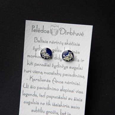 Sidabriniai auskarai "Blue Queen" (8mm) 2 Sidabriniai auskarai "Blue Queen" (8mm) 2