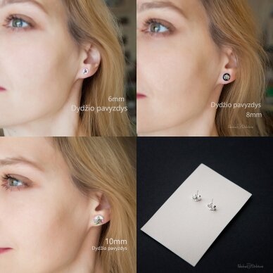 Sidabriniai auskarai "Šeivamedis" (6mm) 6 Sidabriniai auskarai "Šeivamedis" (6mm) 6