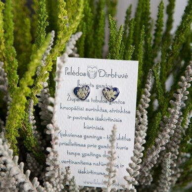 Sidabriniai auskarai-širdelės "Mėlynos Širdelės" Sidabriniai auskarai-širdelės "Mėlynos Širdelės"