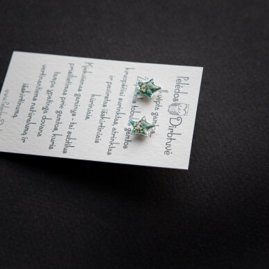 Sidabriniai auskarai-žvaigždutės "Tiffany Queen" 4 Sidabriniai auskarai-žvaigždutės "Tiffany Queen" 4